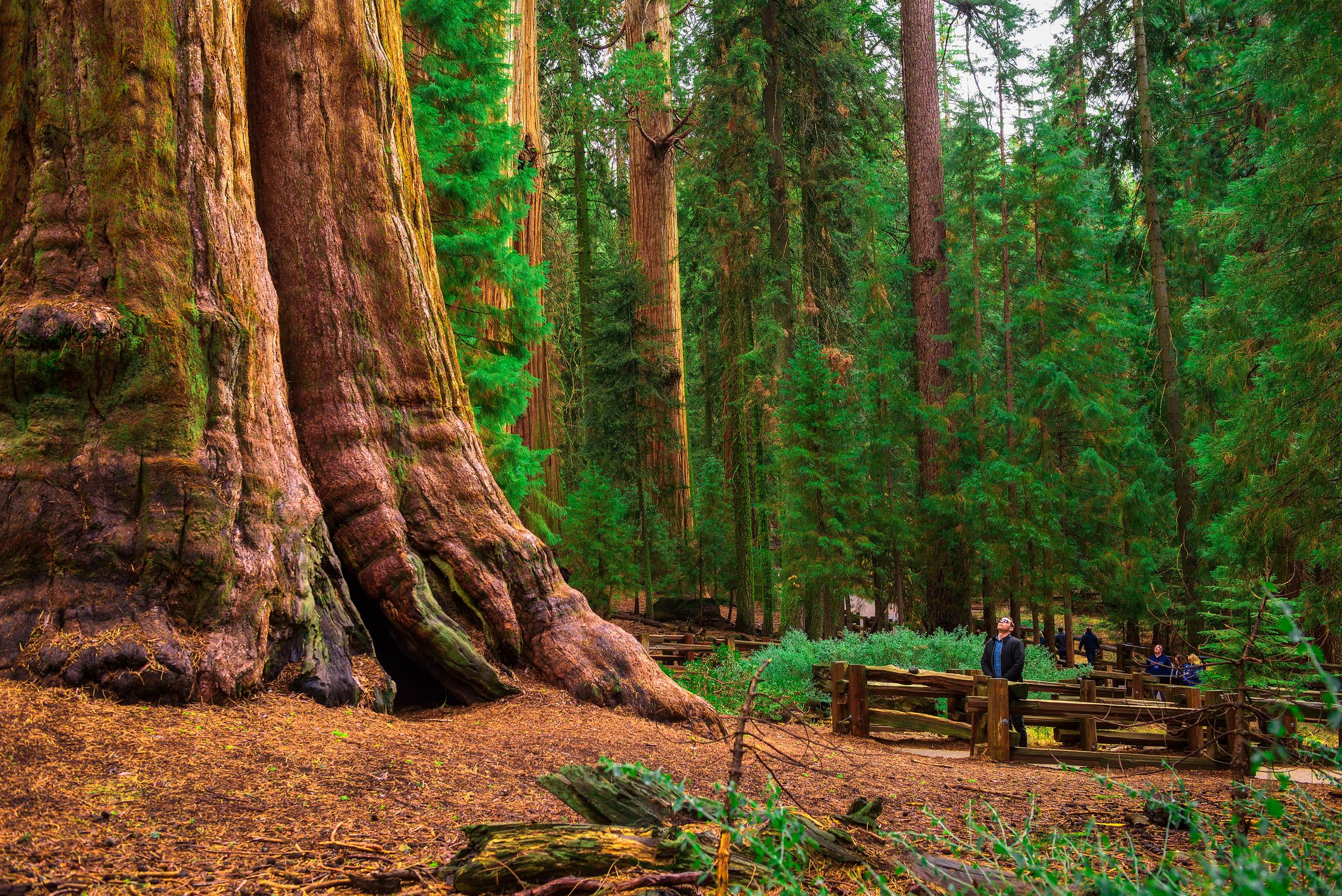 Simple Ways to Connect with Nature...