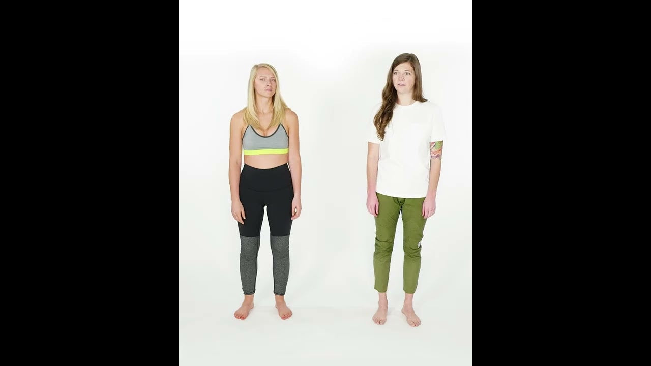 Seed vs Poly chip gilson