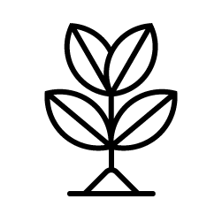 Icon-Plant.png