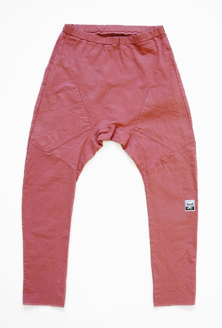 The Antidote - Raspberry